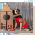 Buzo Ciber - elecant mascotas