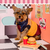 Campera Burguer