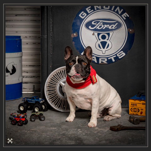 Cuello Tejido Colorado