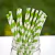 Pitillos de Papel Rayas diagonales - Verde Limón y Blanco. 12 unidades