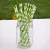 Pitillos de Papel Rayas diagonales - Verde Limón y Blanco. 12 unidades - comprar online