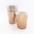 Vasos de Cartón 7oz. Oro Rosado Metalizado. 8 unidades