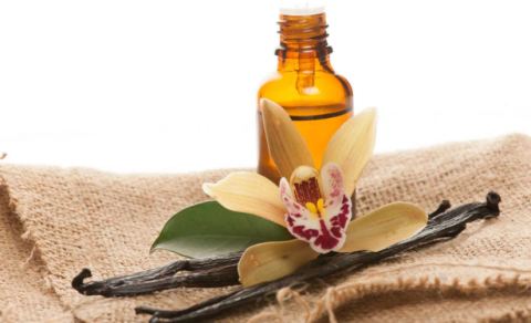 Aceite esencial de Vainilla