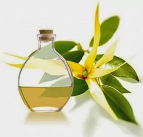 Aceite Natural Esencial de Ylang Ylang