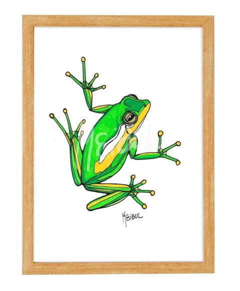 Cuadro #090 Rana by Meibul