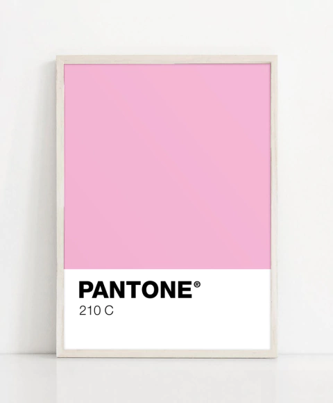 Cuadro Pantone 210 C