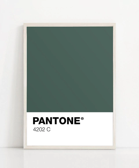 Cuadro Pantone 4202 C