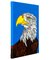 Aguila Calva en internet