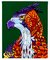 Aguila Real