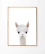 Cuadro Alpaca Baby