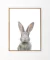 Cuadro Conejo Baby - comprar online