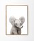 Cuadro Elefante Baby