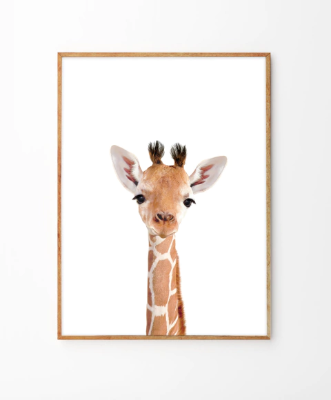 Cuadro Jirafa Baby