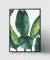 SET x3 - Banana Leafs - tienda online