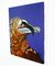 Buitre Quebrantahuesos - comprar online