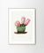 Cuadro Cactus #003