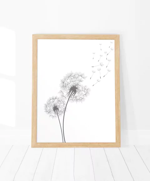 Cuadro Dientes de León