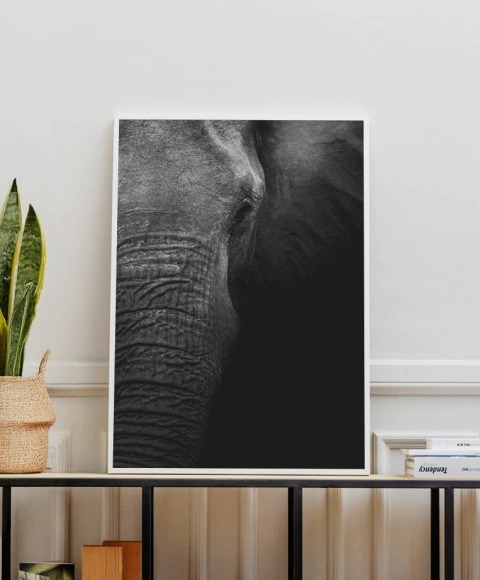 Cuadro Elefante Ancestral