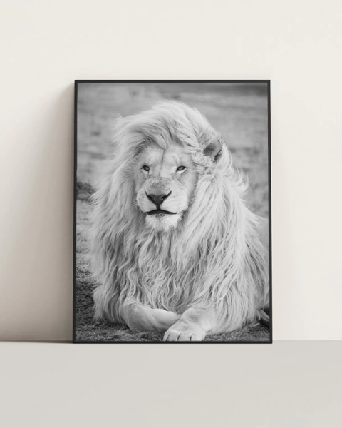 Cuadro León #003 B&W