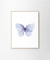 Cuadro Mariposa Azul