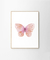 Cuadro Mariposa Acuarela Rosa