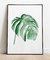 Cuadro Hoja Monstera Acuarela No 2