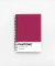 Cuaderno Pantone Vivaciuos