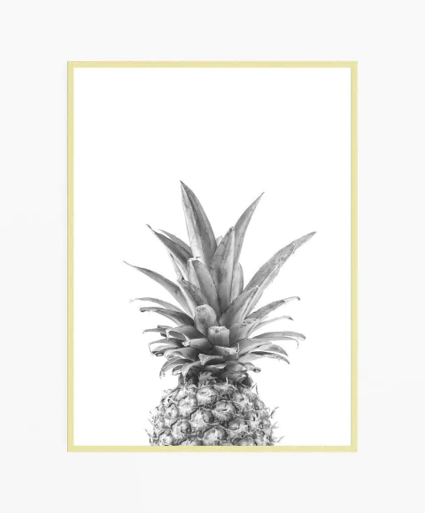 Cuadro Piña B&W