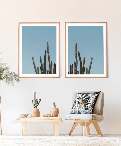 SET x2 Cactus