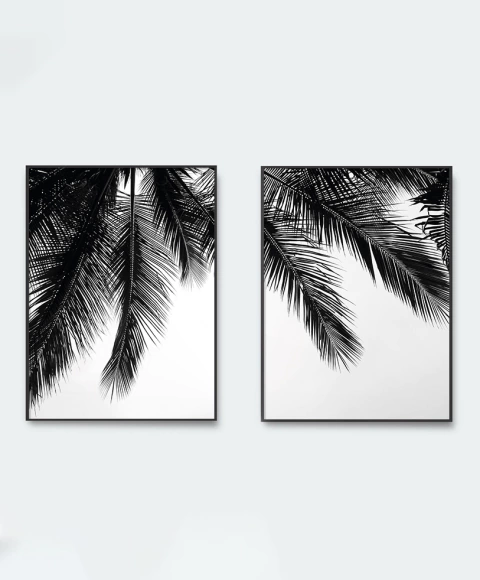 SET x 2 Palmeras B&W #2