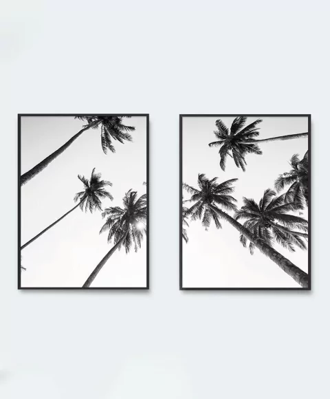 SET x 2 Palmeras B&W