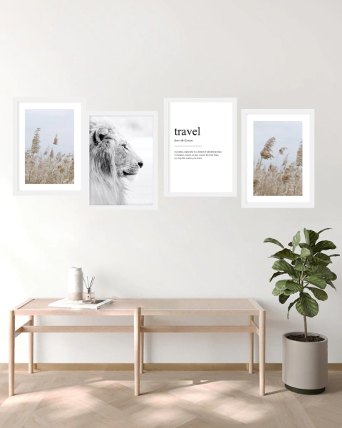 SET x4 "Wild Travel"