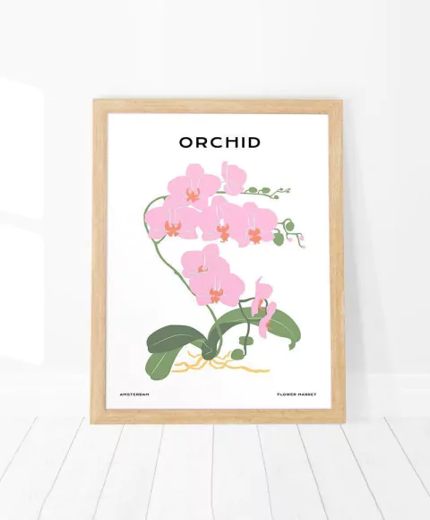 Cuadro Tropical No 42