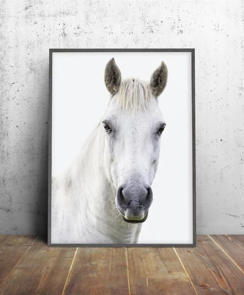Cuadro White Horse