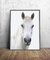 Cuadro White Horse