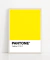 Cuadro Yellow 012 C