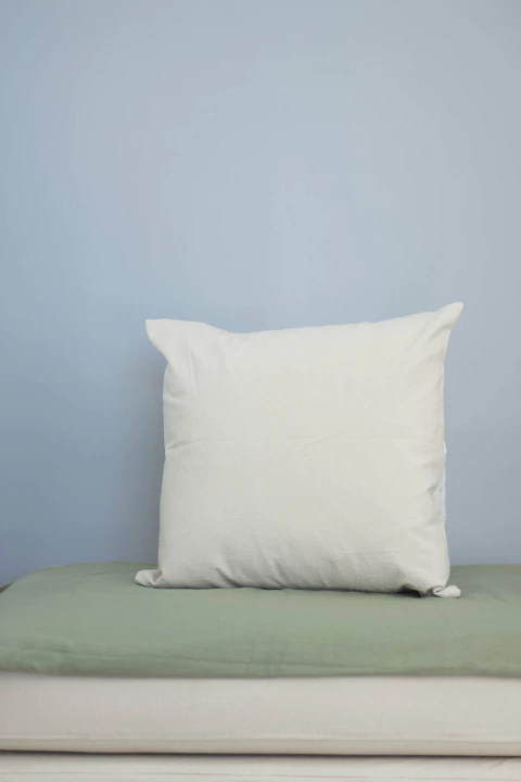 Almohadon - Tusor Crudo - comprar online