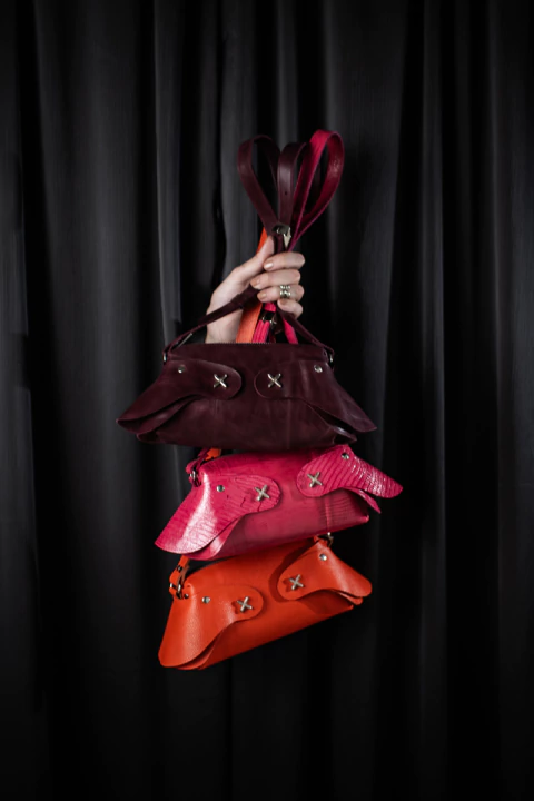 Mini Cartera Rouxurie - buy online