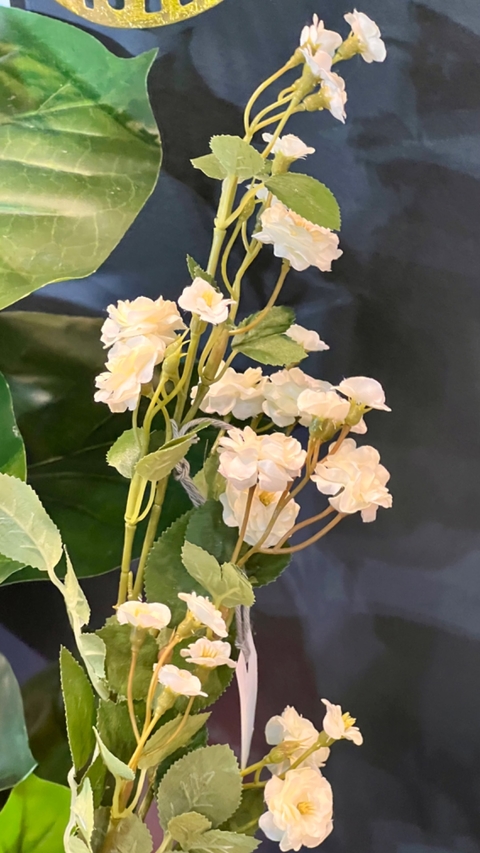 Rama Rosas Rococó