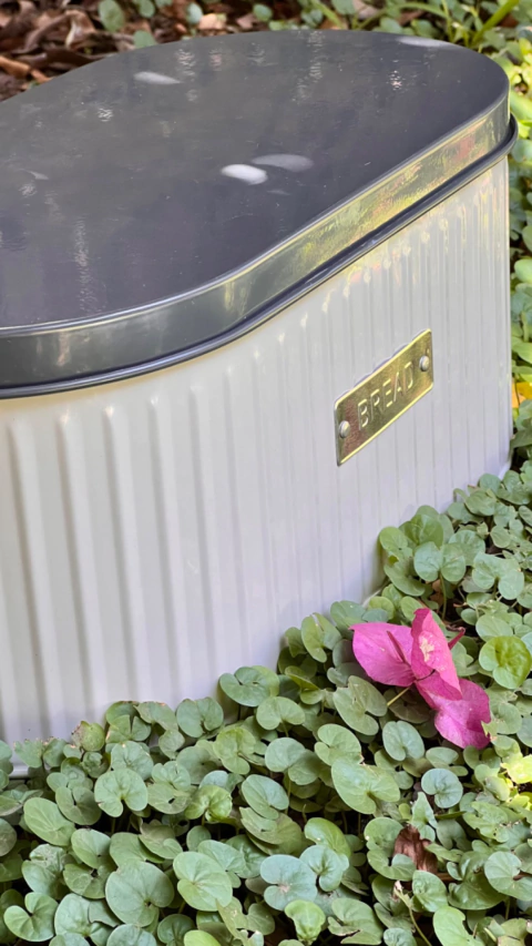 Lata Oval Bread Gris