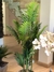 Maceta Tropical Biggy - comprar online