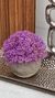 Planta Circus Lavander con maceta - comprar online