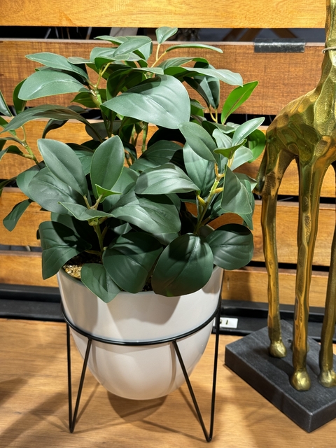 Planta decorativa blanca