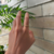 Anillo Viena