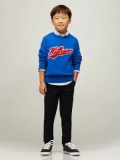 Sweater Tommy Hilfiger Menino Azul Bordado - TH0899- Tamanho 8 - 10 anos - comprar online