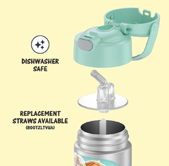 Garrafa Thermos FUNtainer Frozen na internet