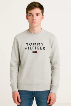 Moletom Tommy Hilfiger Cinza - TH444 - Tamanho 16 - 18 anos - comprar online