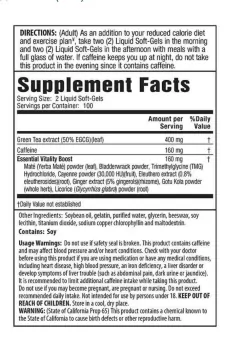 Chá Green Tea Fat Burner Chá Verde 200 Cápsulas Importado Eua - comprar online