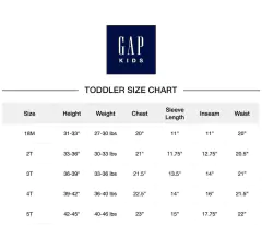 Conjunto Infantil Moletom Fleece GAP - GAP250- Tamanho 4 anos - loja online