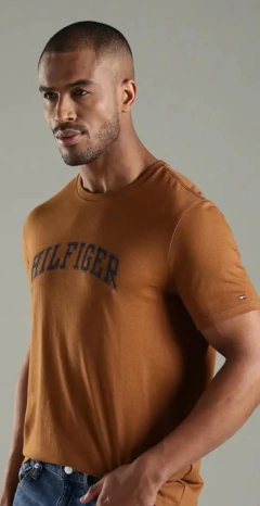 Camiseta Masculina Tommy Hilfiger Marrom 85 - TH85 - Tamanho GG na internet